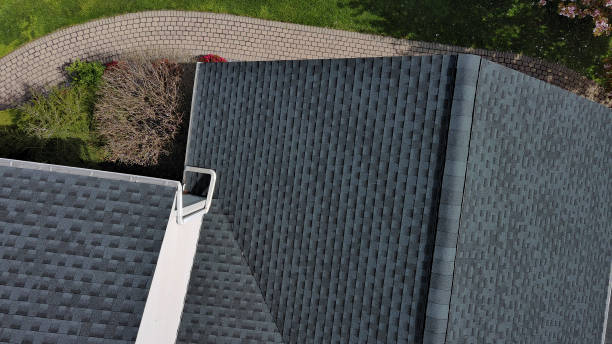 Best Skylight Installation and Repair  in Finderne, NJ