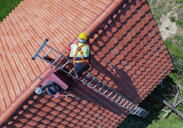 Best Asphalt Shingle Roofing  in Finderne, NJ